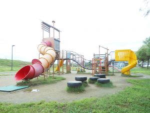 トキっ子アンケートで聞きました 新潟県内夏のおすすめスポット トキっ子くらぶ にいがた子育て応援団 グローカルマーケティング