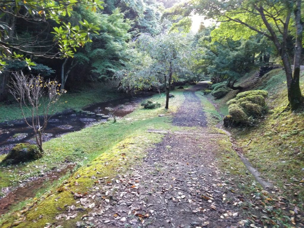 トキっ子スタッフ調査隊 赤坂山公園 柏崎市 に行ってきました トキっ子くらぶ にいがた子育て応援団 グローカルマーケティング