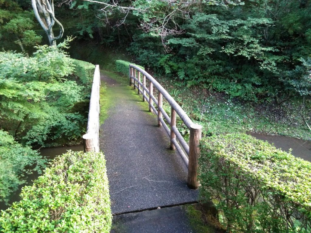 トキっ子スタッフ調査隊 赤坂山公園 柏崎市 に行ってきました トキっ子くらぶ にいがた子育て応援団 グローカルマーケティング