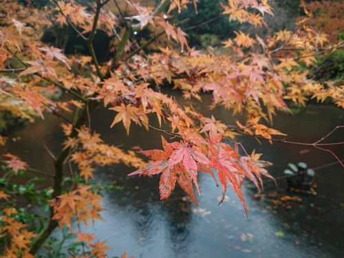 トキっ子秋のおすすめスポット赤坂山公園