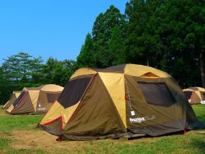 新潟県立こども自然王国 トキっ子くらぶ にいがた子育て応援団 グローカルマーケティング