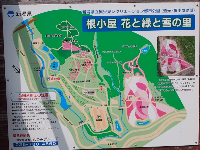 トキっ子スタッフ調査隊 奥只見レクリェーション都市公園 花と緑と雪の里 魚沼市 に行ってきました トキっ子くらぶ にいがた子育て応援団 グローカルマーケティング