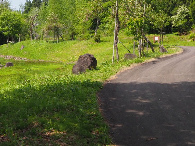 トキっ子スタッフ調査隊 奥只見レクリェーション都市公園 花と緑と雪の里 魚沼市 に行ってきました トキっ子くらぶ にいがた子育て応援団 グローカルマーケティング