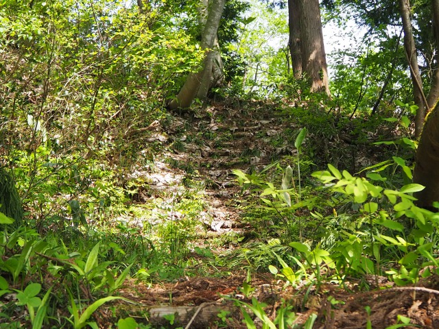 トキっ子スタッフ調査隊 奥只見レクリェーション都市公園 花と緑と雪の里 魚沼市 に行ってきました トキっ子くらぶ にいがた子育て応援団 グローカルマーケティング