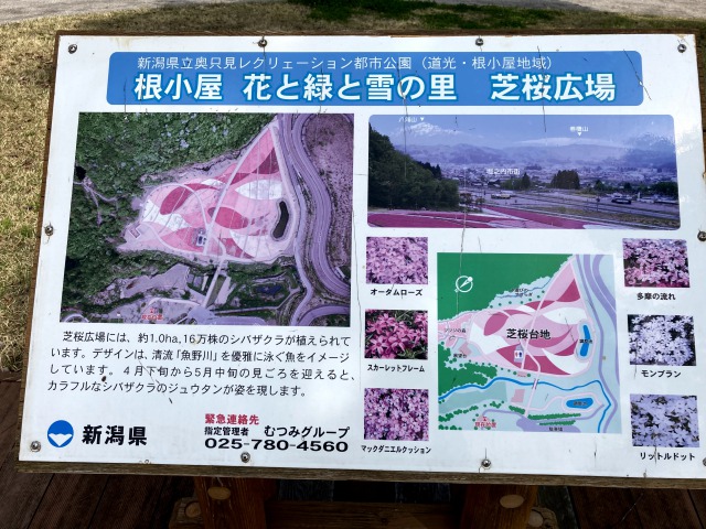 トキっ子スタッフ調査隊 奥只見レクリェーション都市公園 花と緑と雪の里 魚沼市 に行ってきました トキっ子くらぶ にいがた子育て応援団 グローカルマーケティング