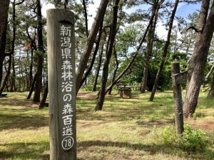 トキっ子スタッフ調査隊 大潟シーサイドアスレチック 上越市 に行ってきました トキっ子くらぶ にいがた子育て応援団 グローカルマーケティング