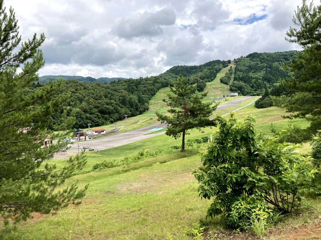 トキっ子キャンプ場特集 東山ファミリーランド キャンプ場 トキっ子くらぶ にいがた子育て応援団 グローカルマーケティング