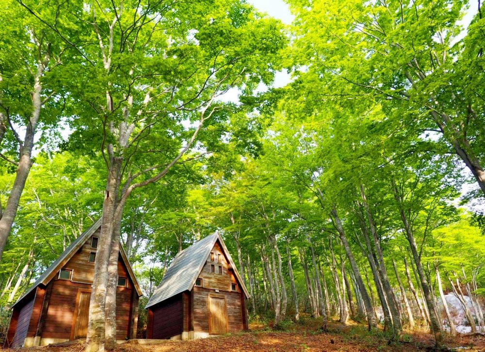 トキっ子キャンプ場特集 光ヶ原高原キャンプ場 トキっ子くらぶ にいがた子育て応援団 グローカルマーケティング