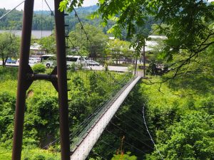 こども自然王国吊橋 (2)