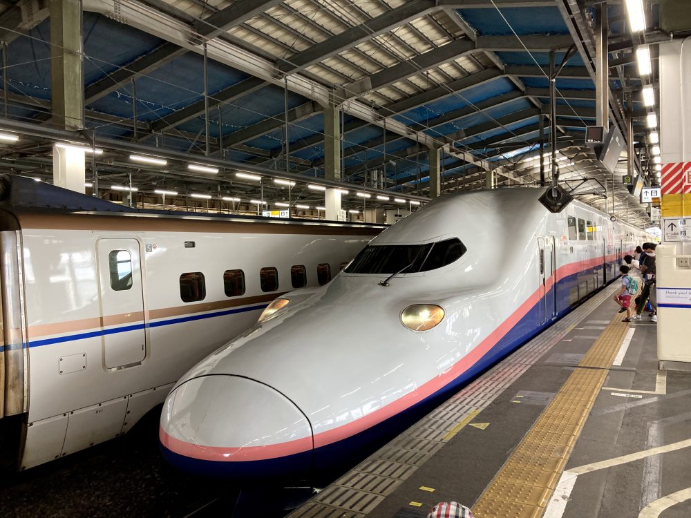 トキっ子スタッフ調査隊 21年10月1日 金 定期運行ラストラン Maxときに乗ってきました トキっ子くらぶ にいがた子育て応援団 グローカルマーケティング