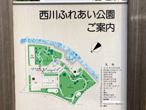 西川ふれあい公園案内図