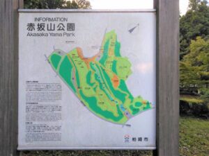 トキっ子スタッフ調査隊 赤坂山公園に行ってきました トキっ子くらぶ にいがた子育て応援団 グローカルマーケティング