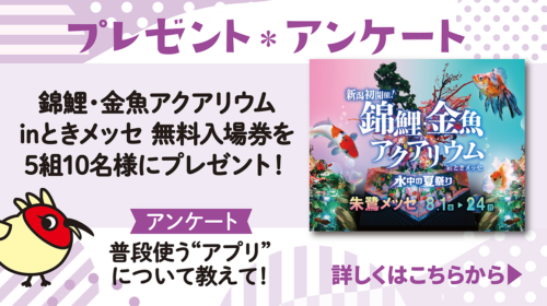 錦鯉・金魚アクアリウム inときメッセ