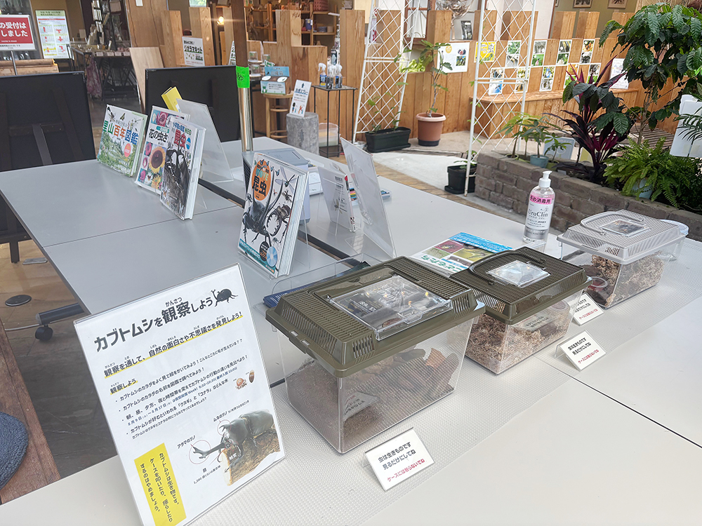 新潟県立植物園