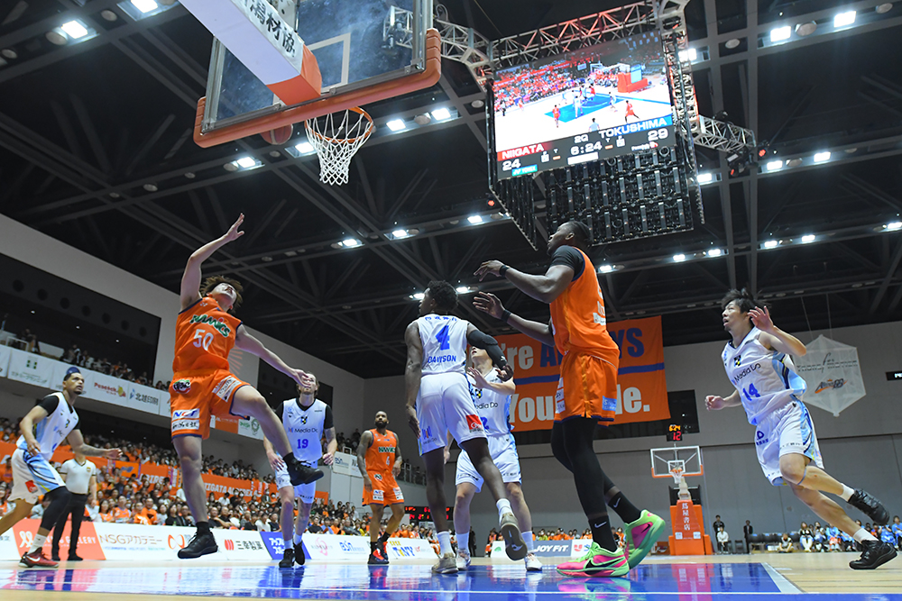 アルビレックスBB