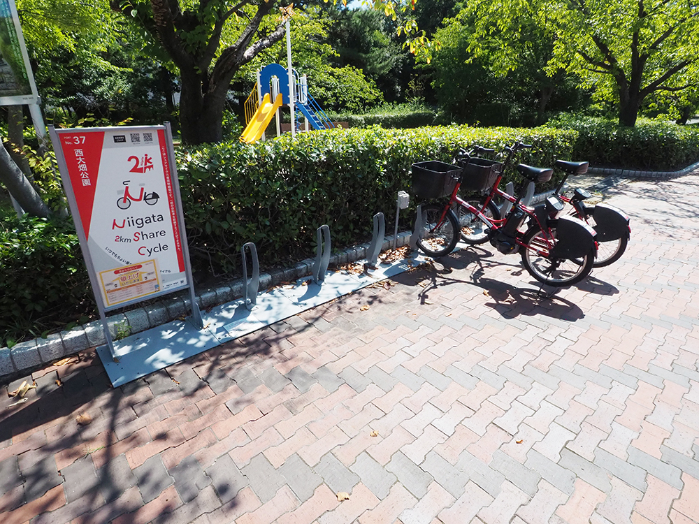 亀田総合体育館