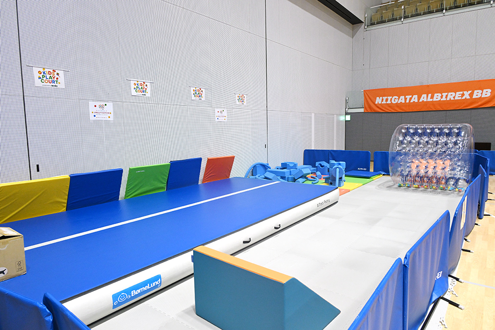 アルビレックスBB