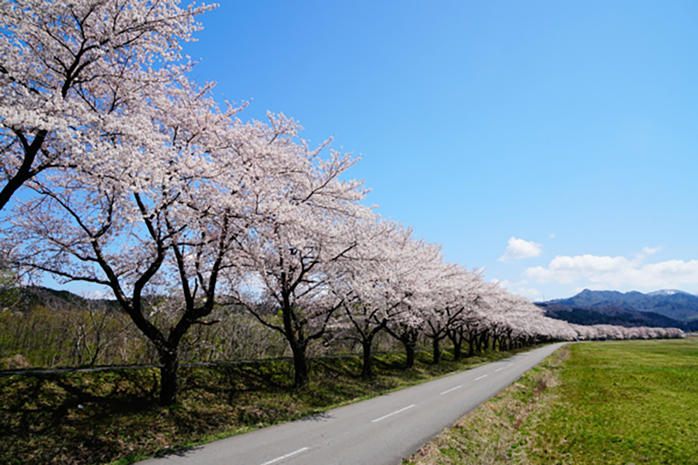 胎内フィッシングパーク