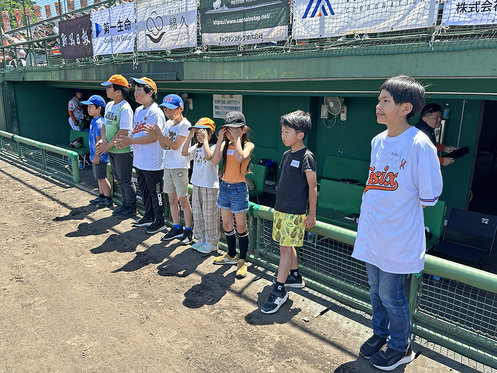 オイシックス新潟アルビレックスBC