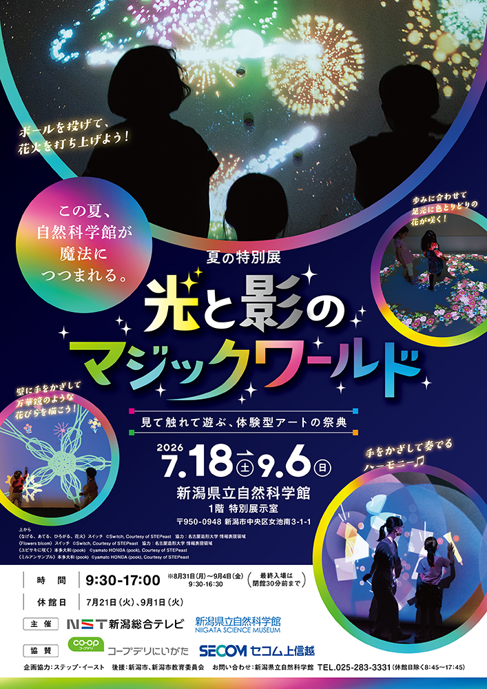光と影のマジックワールド