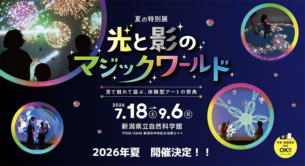光と影のマジックワールド